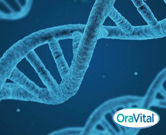 Floss Dental Hygiene Services